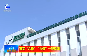 新聞采訪｜疫情下，軍興溢美如何在危機中求發展？